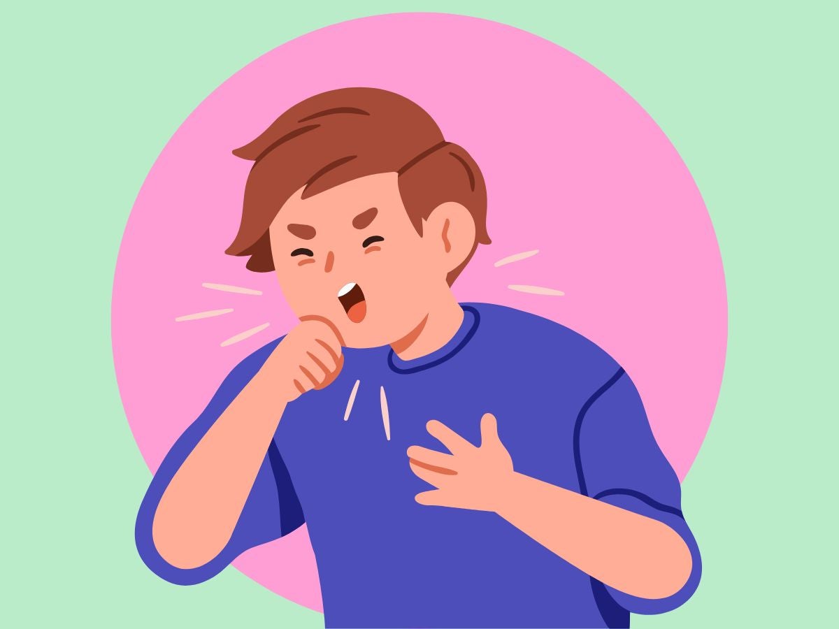 Bacteria Bordetella pertussis